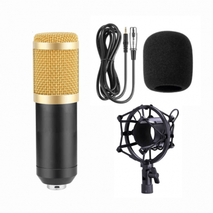 Profesionalni mikrofon Andowl 7451