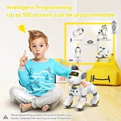 Dečija igračka Robot Smart Pas